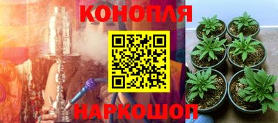 сатива Нарткала